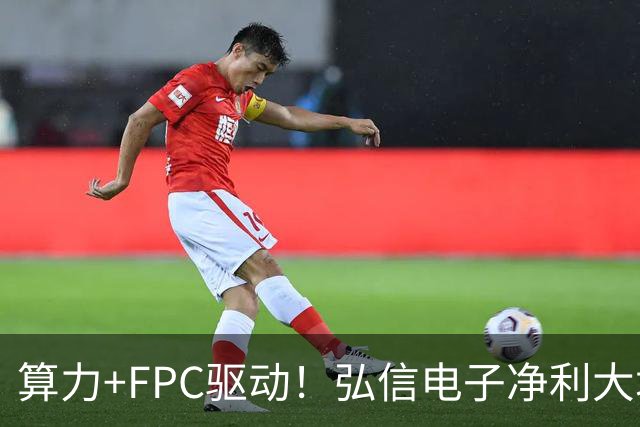 算力+FPC驱动！弘信电子净利大增139%，股价较年内高点回撤超40%